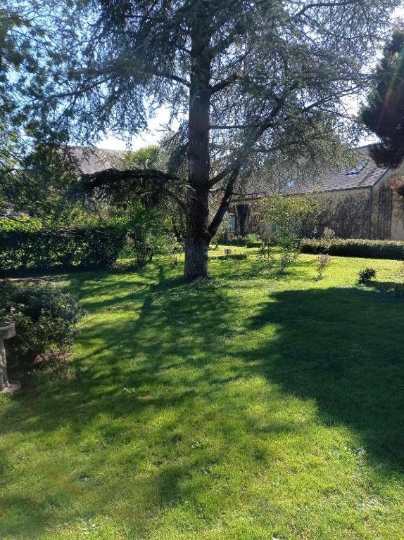 La Demeure Du Perron Otel Quettehou Dış mekan fotoğraf