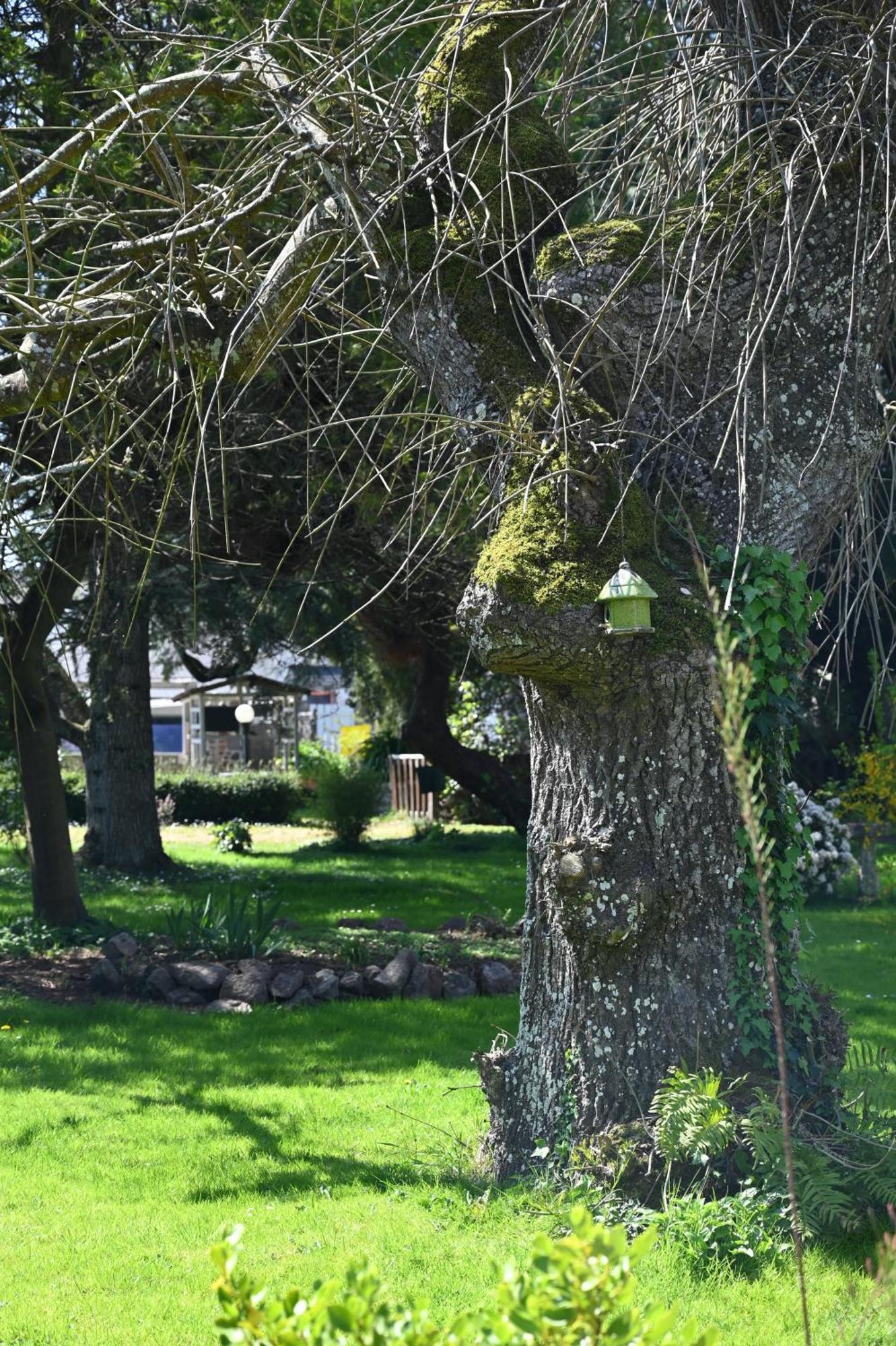 La Demeure Du Perron Otel Quettehou Dış mekan fotoğraf